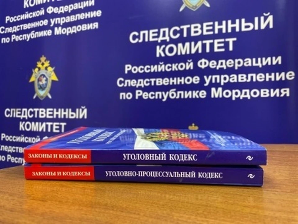 Фото: Пресс-служба регионального СК