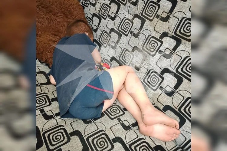 Мальчика, прятавшегося от родителей в ветклинике, до сих пор не забрали из семьи. Тем временем следователи завели уголовное дело