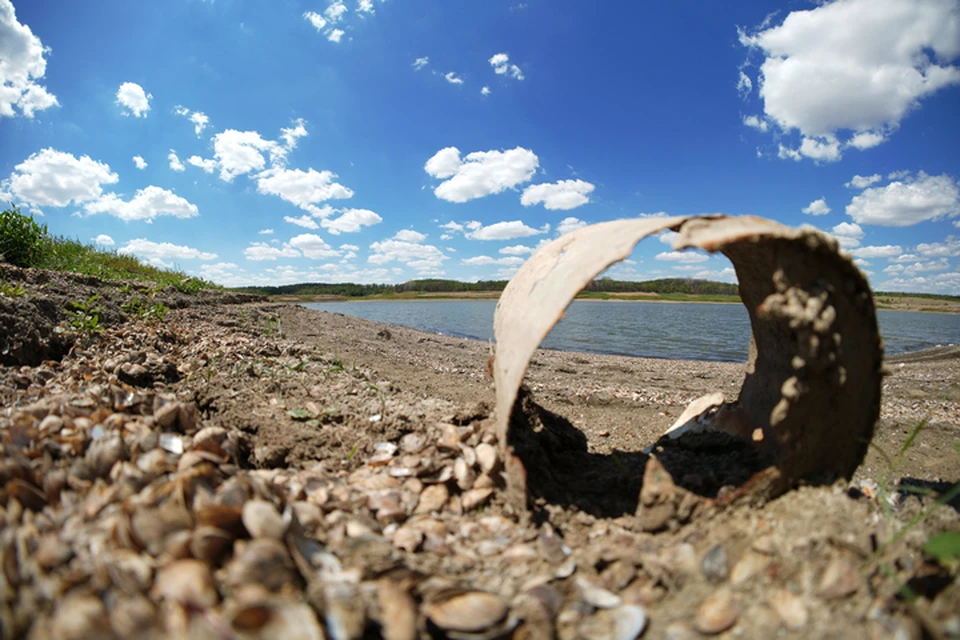 Обмелело и Старокрымское водохранилище, питающее Мариуполь водой