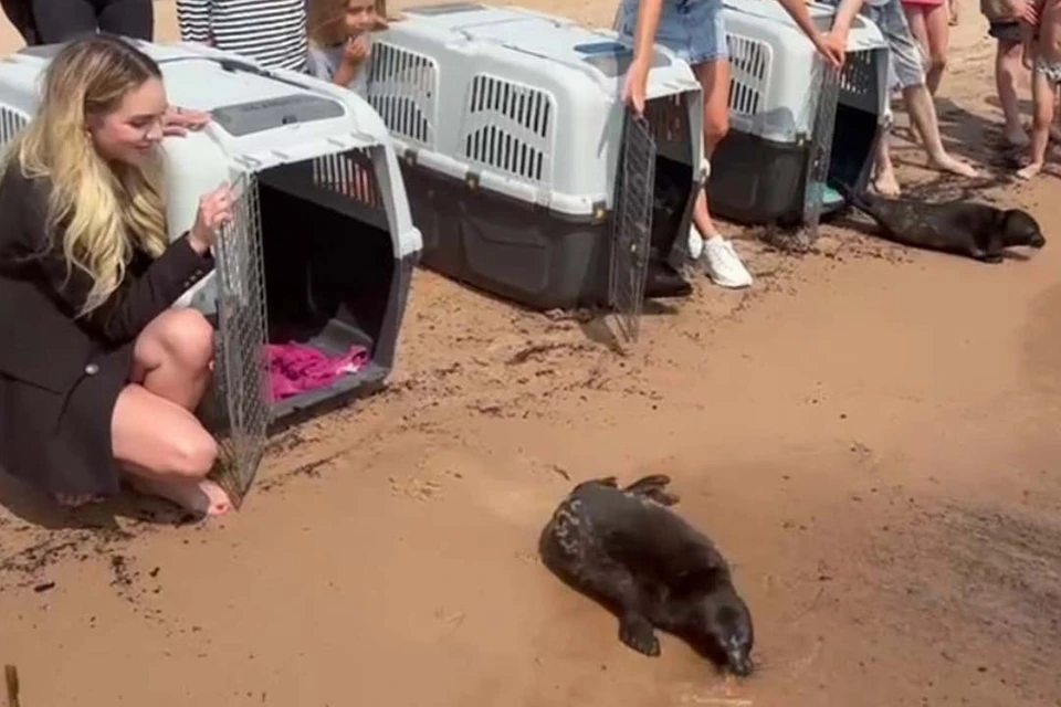 Средний вес малышей составил 15 килограммов. Фото: «Водоканал»/Tg