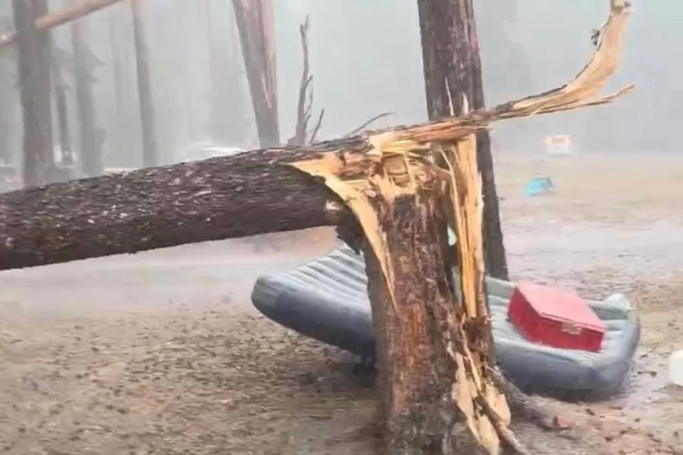 Фото: скриншот из видео, предоставленного очевидцем