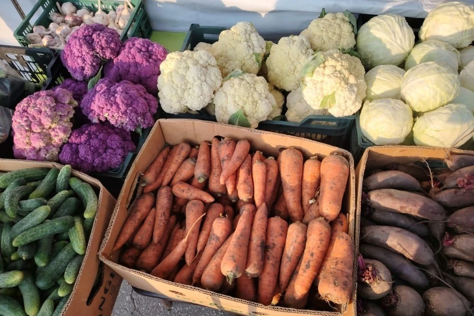 Полюбившиеся рязанцам местные продукты предлагаются на 5 площадках. Фото: Министерство сельского хозяйства и продовольствия Рязанской области.