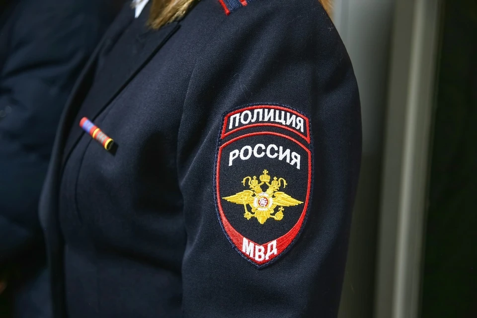Пьяная мать из-за маленькой дочери накинулась на инспектора ПДН