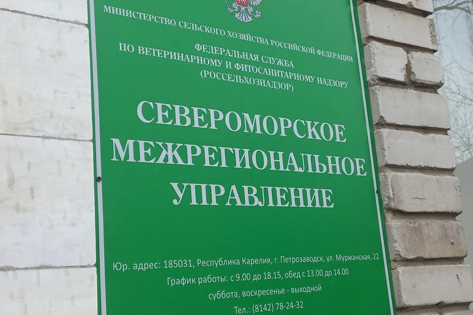 Фото: Россельхознадзор.