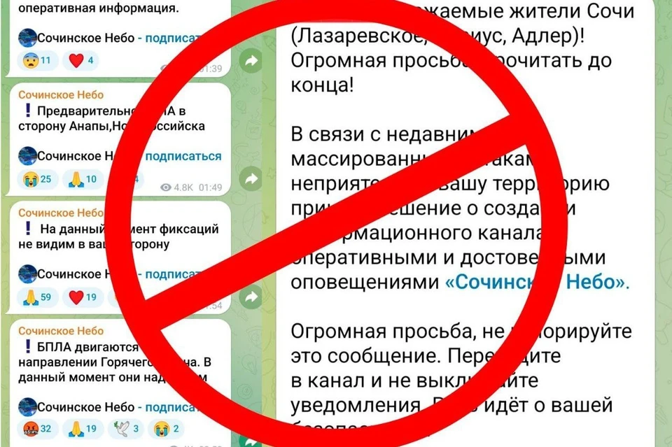 Фото: пресс-служба администрации Сочи