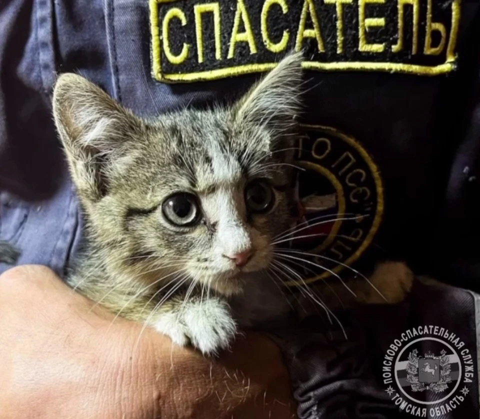 Фото: Томская областная поисково-спасательная служба