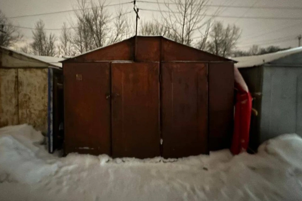 Петербуржца отправили на 17 лет в колонию за приставание к детям в гараже. Фото: t.me/gsuskrf_spb