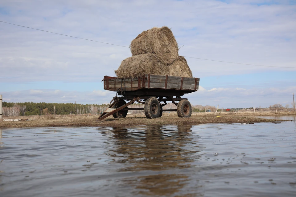 Фото: архив "КП".