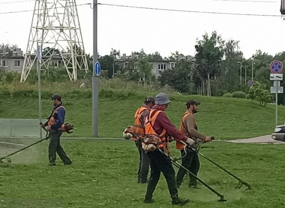 Тульские коммунальщики продолжают убирать город от смета и мусора.