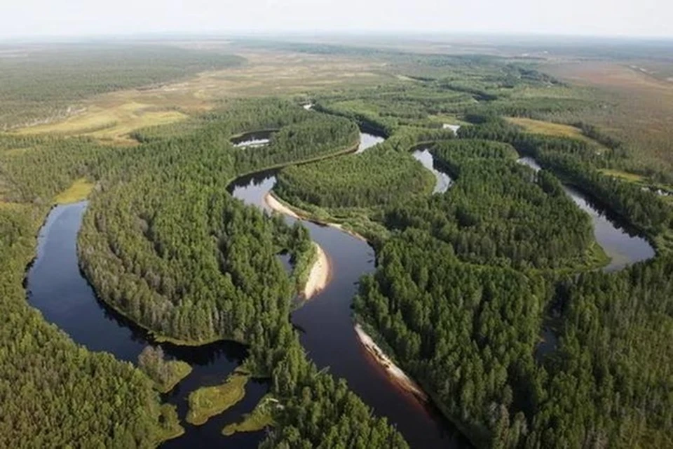Фото: МЧС по ХМАО-Югре