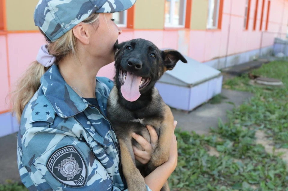 Сейчас малышам около трёх месяцев, и они активно социализируются. Фото: МВД по Коми.