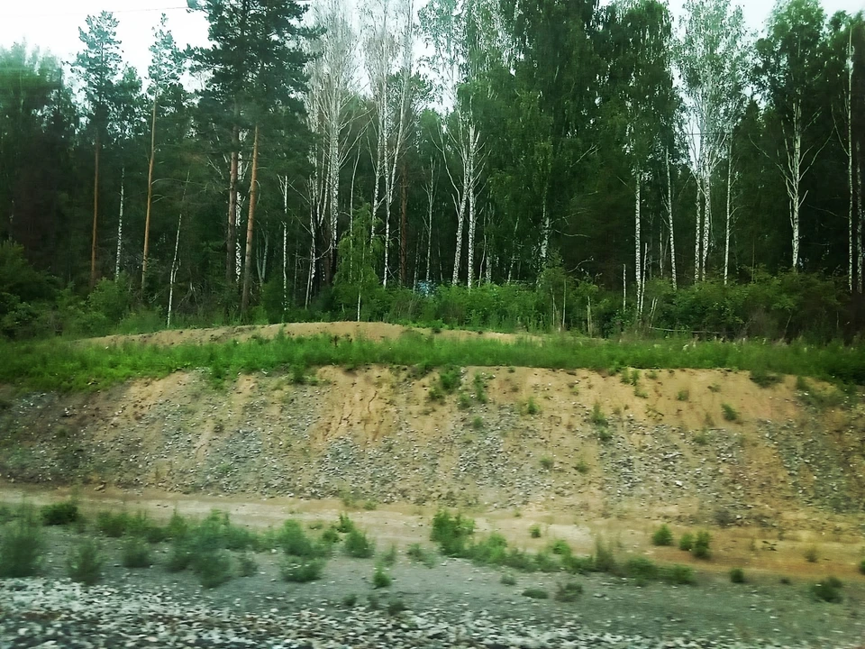 Погода на Ямале на 12 августа