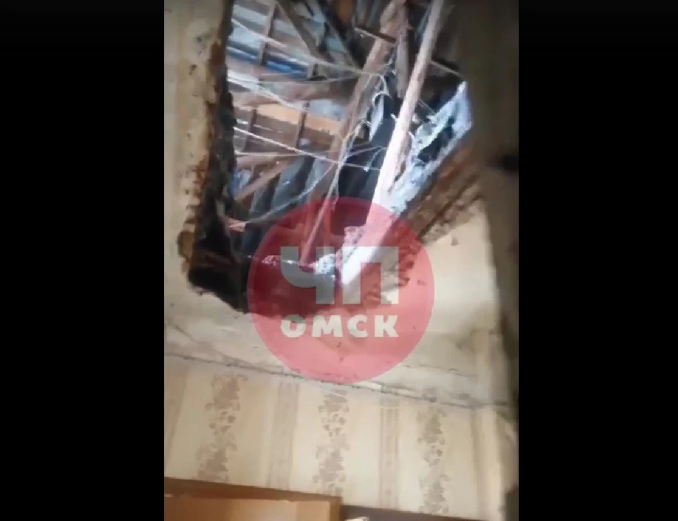 Фото: скриншот видео в паблике «ЧП Омск» во «ВКонтакте».
