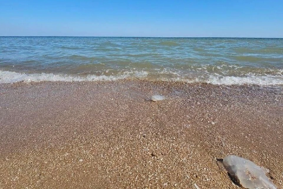 Воду из Азовского моря опреснять не будут. Фото: Администрация Мариуполя