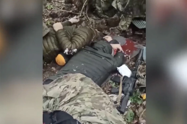 Спецслужбы развенчали миф о неуязвимости украинских террористов: опубликован список причастных к организации диверсий в России