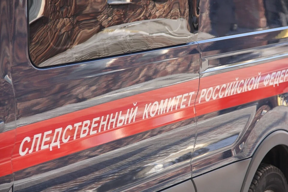 Фото: СК по Красноярскому краю и Хакасии