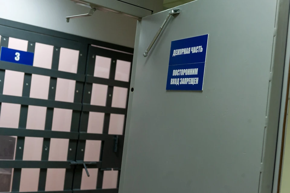 В Сергиевом Посаде задержали женщину, подозреваемую в мошенничестве
