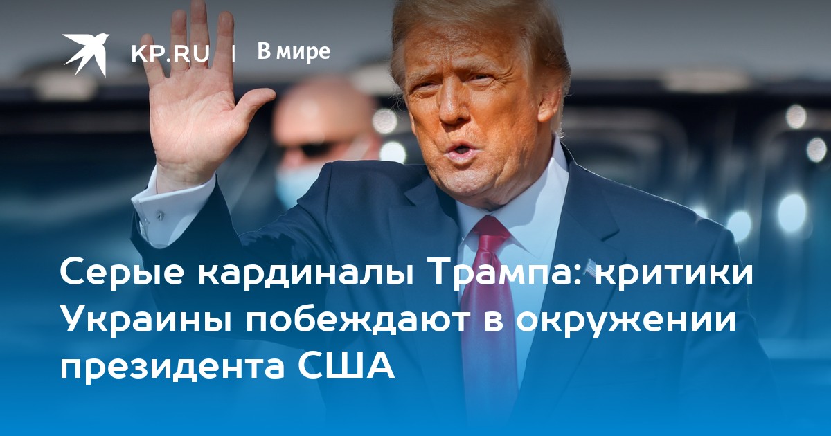 Серые кардиналы Трампа: критики Украины побеждают в окружении президента США
