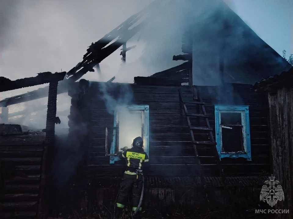 Мужчина погиб на пожаре в жилом доме в Нижегородской области