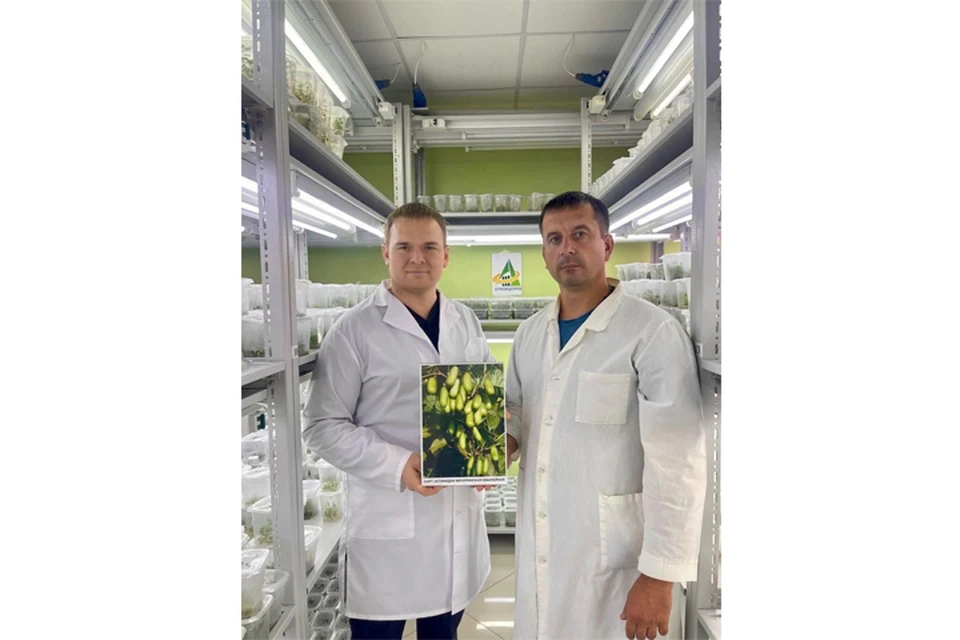 Исполнительный директор НПЦ «Агропищепром» Колесников Сергей Александрович, зам директора по инновационным технологиям НПЦ «Агропищепром» Брыксин Дмитрий Михайлович