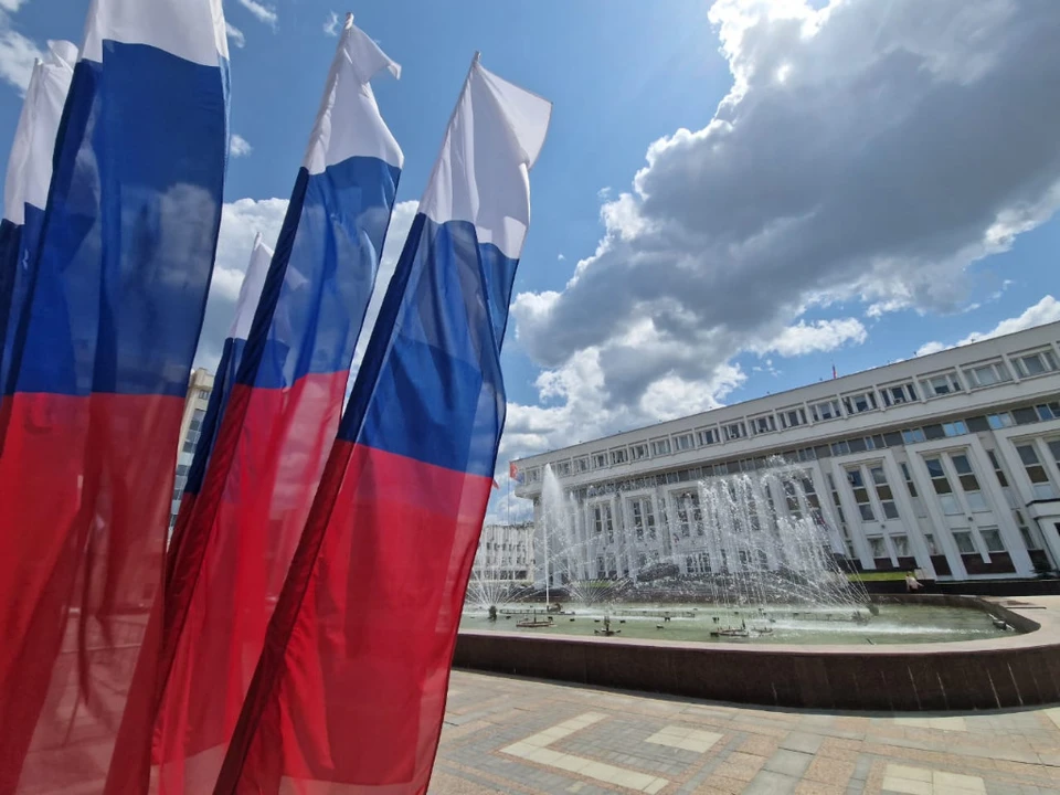 В правительстве прокомментировали жалобу многодетной тамбовчанки