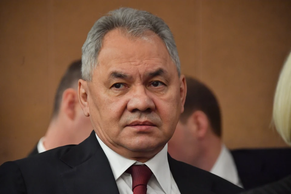 Шойгу назвал количество террористов в Афганистане.