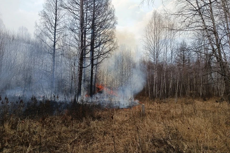 Чрезвычайную пожароопасность пятого класса вновь объявили на Ставрополье