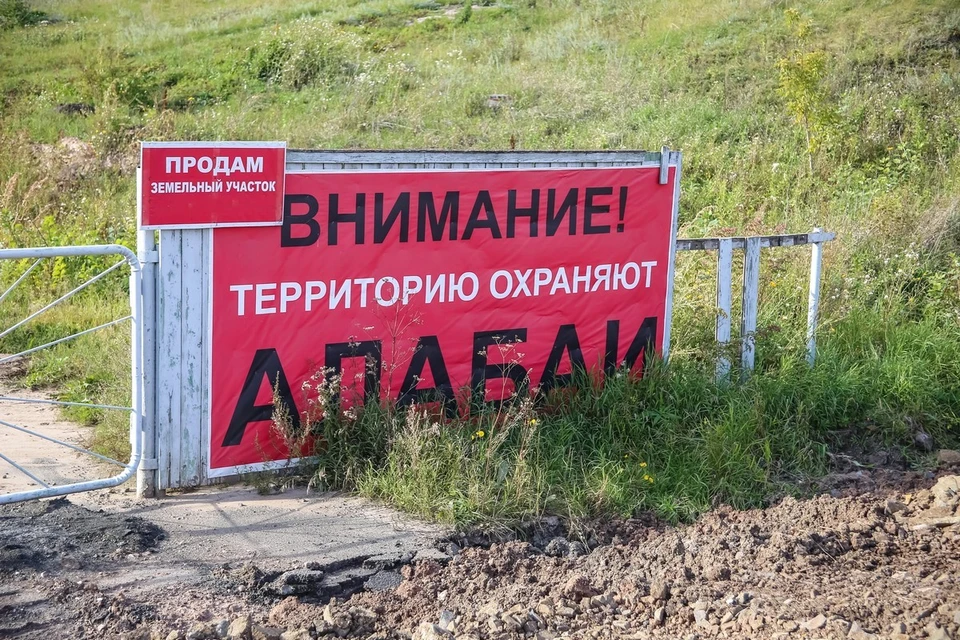 В Красноярске будут судить владелицу агрессивного алабая