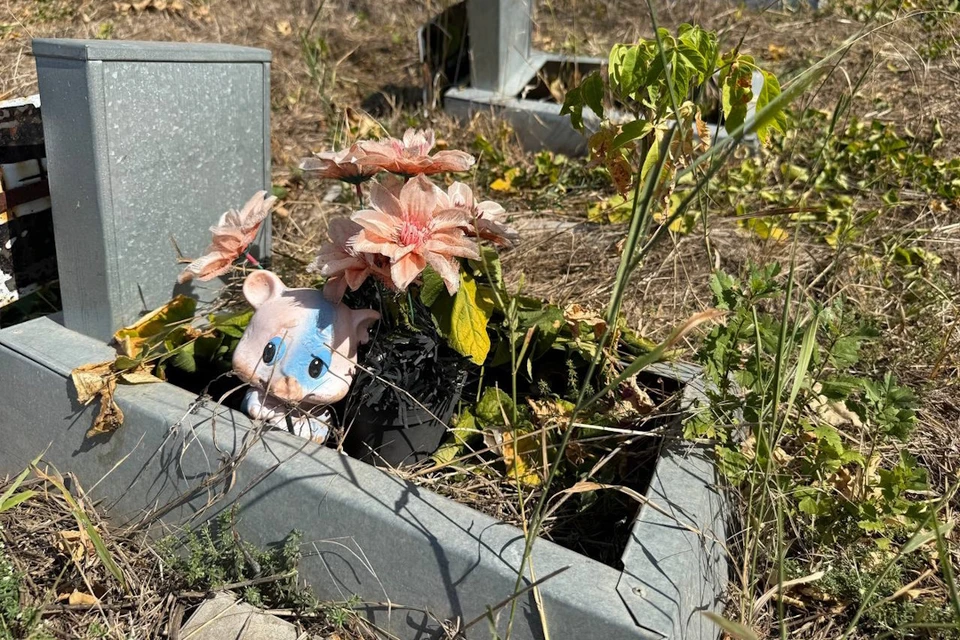 На детские могилки часто приносят игрушки.