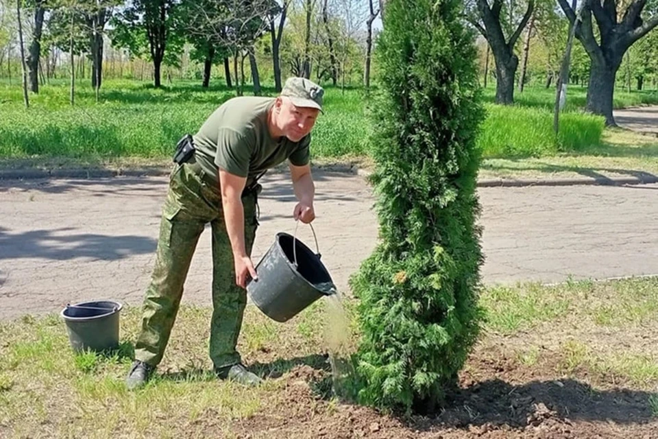 В ДНР осенью 2025 года посадят 160 тысяч сеянцев лесных деревьев. Фото: Личный архив Министра природных ресурсов и экологии ДНР Алексея Шебалкова