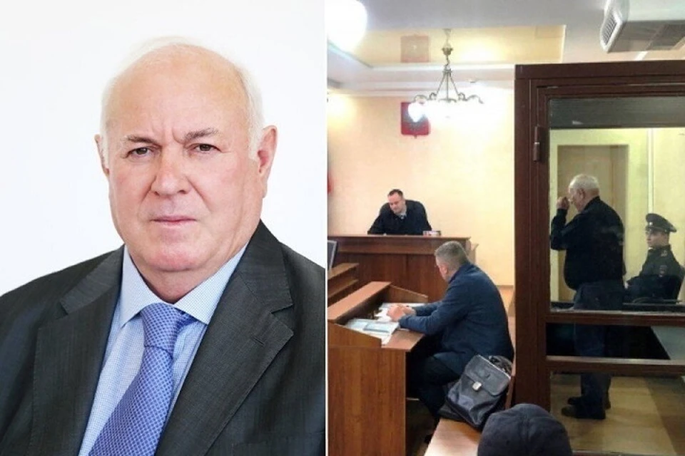 Экс-чиновник, академик Владимир Кайшев. Фото: Российская академия наук и Ленинский районный суд Ставрополя