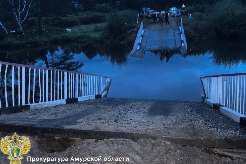 Мост разрушился по всей длине. Фото: Прокуратура Амурской области