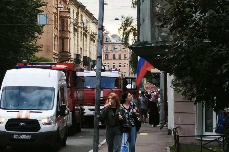 Огонь потушили на чердаке на улице Большая Пушкаревская. Фото: vk.com/spb_today