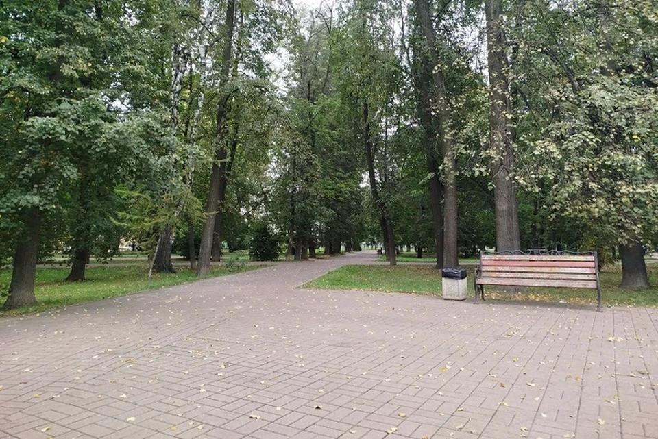 Лето не спешит уходить из Ярославля, но следующая неделя уже не будет такой теплой и солнечной.
