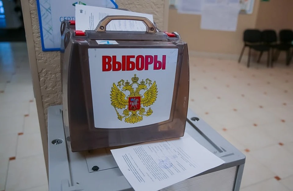 В Приморье пройдут выборы в четырех городских и 15 муниципальных округах. Фото: Правительство Приморского края