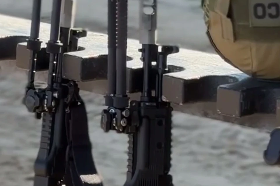 Это уже девятые международные соревнования. Фото: t.me/Piotrovsky