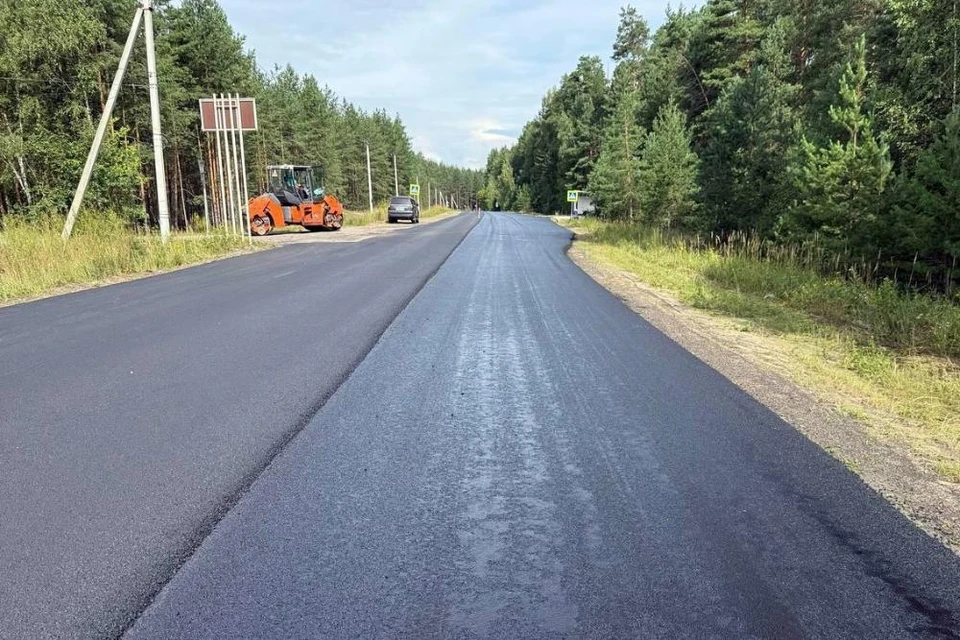 Фото предоставлено ГБУ "Владупрадор".