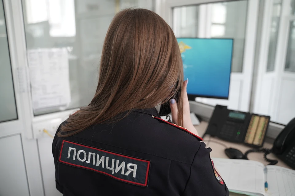 Дело завели по статье о хулиганстве.