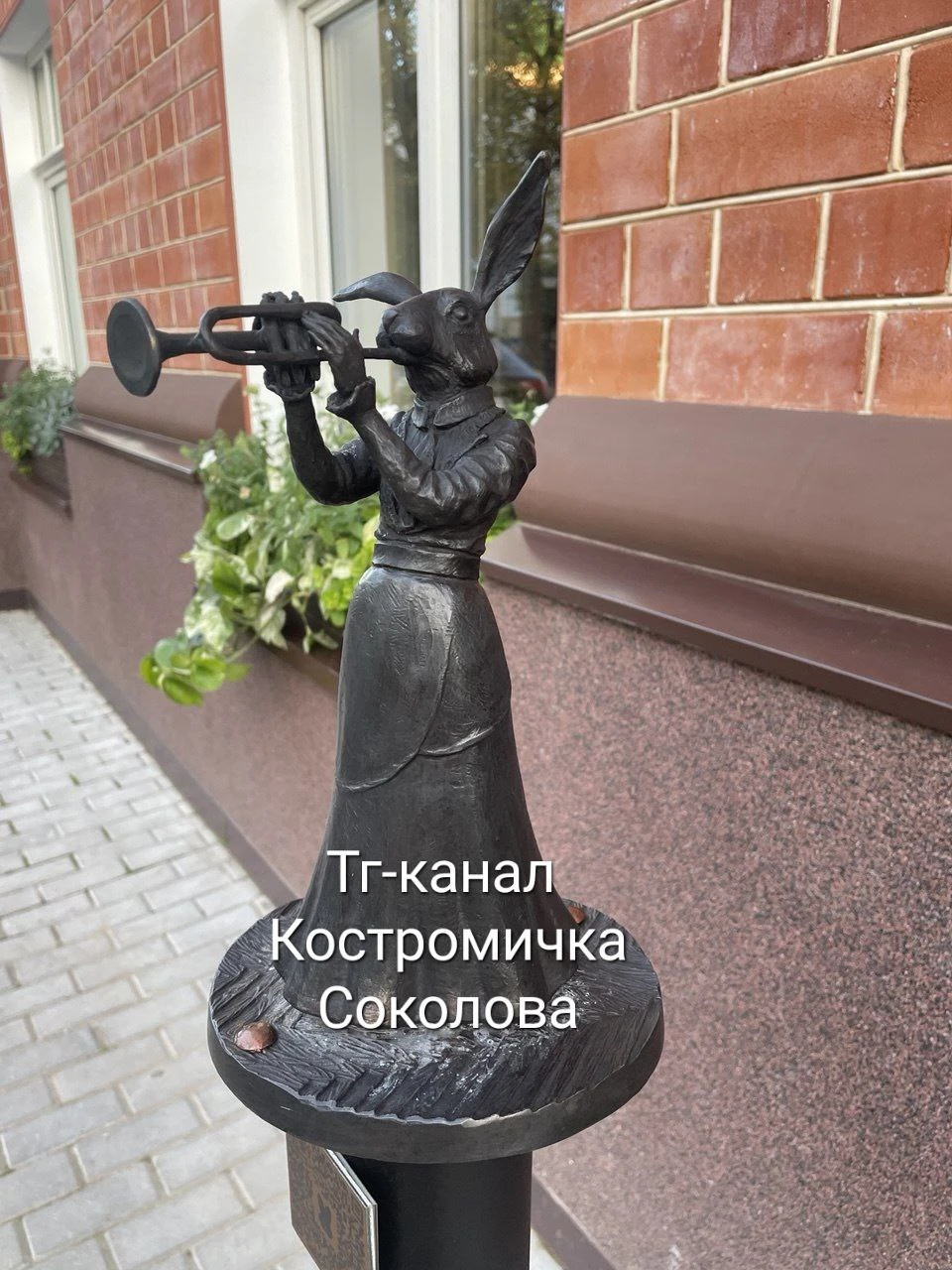 Фото: t.me/kostromichkasokolova