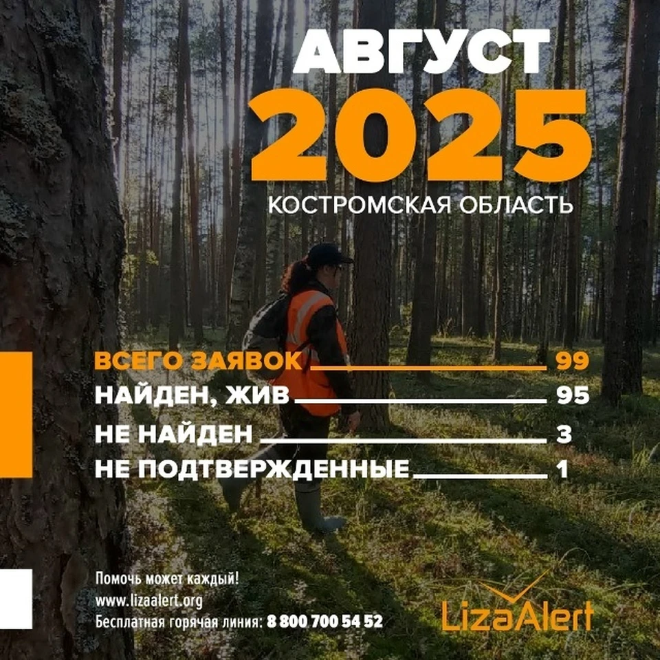 Фото: ДПСО "ЛизаАлерт" Костромской области