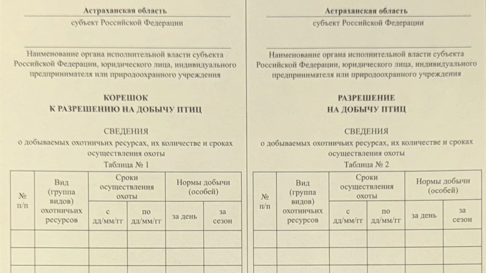 Фото: региональная служба природопользования и охраны окружающей среды