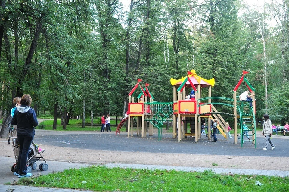 В Ярославле полиция проверяет информацию о мужчине, который, по словам очевидцев, пытался увести детей с площадки.