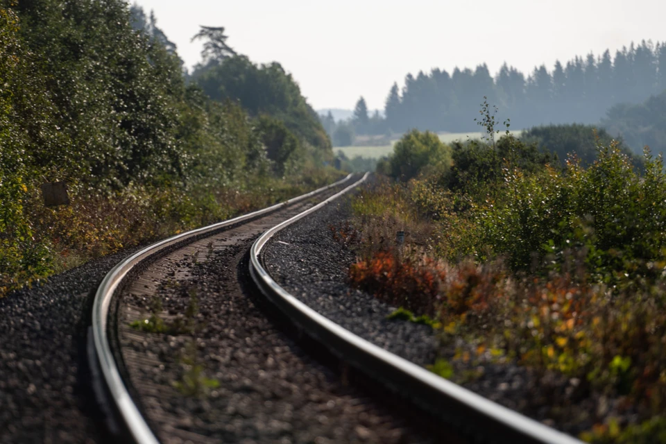 Полиция начала проверку.