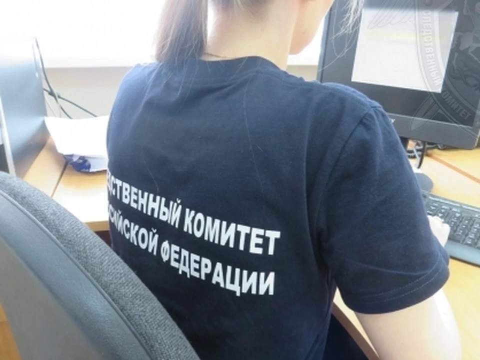 Фото: пресс-служба СУ СК России по Костромской области