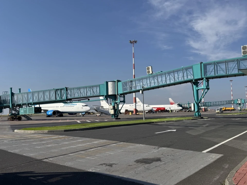 Нарушители правил пребывания в нашей стране полетят домой.