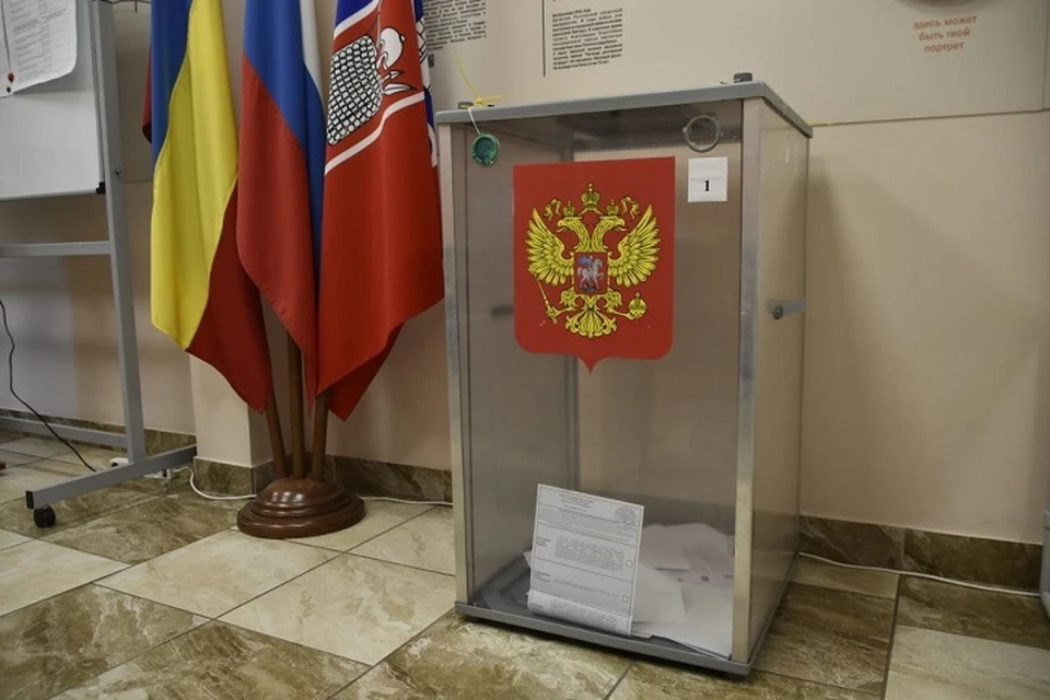 Независимые наблюдатели следят за ходом голосования в Ростовской области