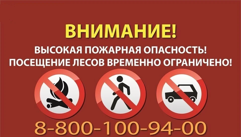 Фото: служба природопользования и охраны окружающей среды Астраханской области