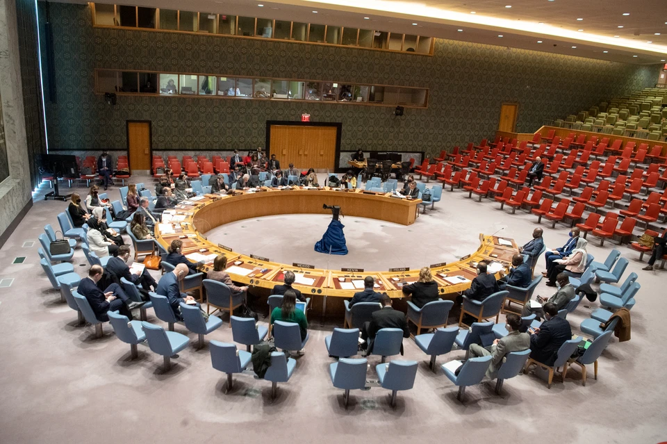 ООН: лишь 46 стран поддержали заявление о причастности РФ к инциденту с дронами