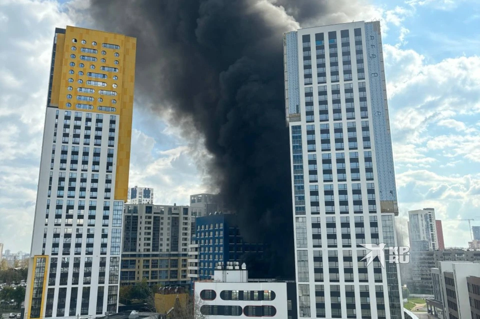 Фото: предоставлено очевидцем