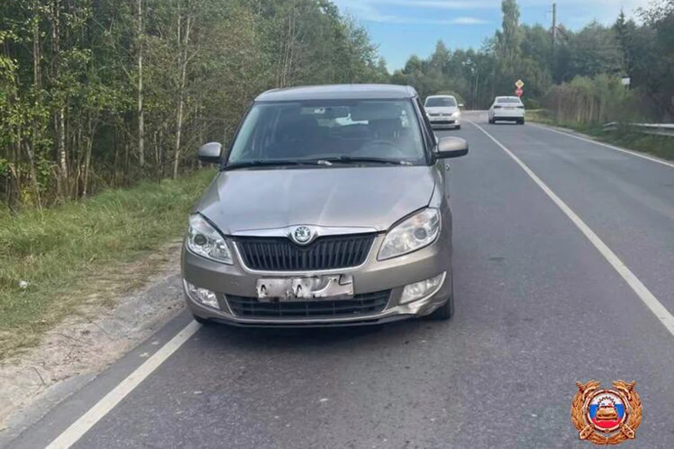 Пешеход шёл по обочине. Фото: управление Госавтоинспекции Тверской области